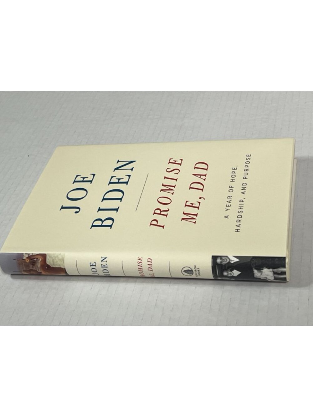 Promise Me Dad Joe Biden Hardcover Memoir Biography First Person Account - Picture 3 of 4